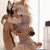 Coral Rousseau's profile image