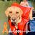 Sandy Bauer's profile image