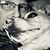 Kevin McNurlin's profile image