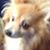 Vicki Higby's profile image