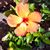 Donna Raney's profile image