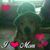 Kerry Bowley's profile image