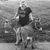 Jennifer Untiedt Cotter's profile image