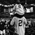 Chuck Gibson's profile image