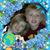 Nancy Bergan Hanson's profile image