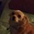 Derek Sims's profile image
