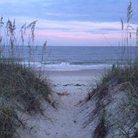 Phyllis Goldman Corley's profile image