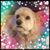 Jo Kelley's profile image