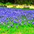 Denise Meadows Beaver Allemang's profile image