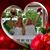Danielle Lauren Walker's profile image
