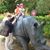 Erica Lussana's profile image