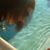 K Rose Kareless's profile image