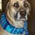 Diane Whyte Miller's profile image