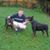 Jason Branham's profile image