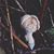J OH Fishel's profile image