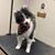 Linda Hohensee's profile image