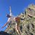 Steffen Walderhaug's profile image
