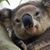 Karen Warncke's profile image