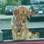 Pam Bentley's profile image