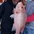 Stanley Rasmussen's profile image