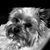 Kristy Chrzanowski Bartek's profile image