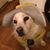 Rnel Gman's profile image