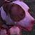 Jack Jackson's profile image