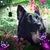Nancy Porter's profile image
