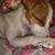 Dana Crone's profile image
