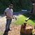 Carl Calabro's profile image