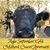 Lori Sullivan's profile image