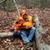 Wayne Kelley's profile image