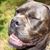 Shawn Graham's profile image