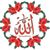Ahmed Yusuf's profile image