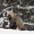 Chere' Becker's profile image