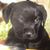 Brenda Crabb's profile image