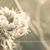 April Brunner Hagedorn's profile image