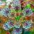 Kim Shurr's profile image