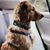 Margaret Rutledge Johnson's profile image