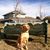 Leslie Brown's profile image
