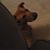 Kristi Brown's profile image
