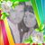 Topo Gygo Camacho's profile image
