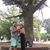 Kevin Ariel Collazo's profile image