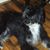 Adrienne Wood's profile image