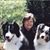 Mary Vann's profile image