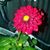 Mary Melton's profile image