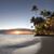 Joanne Dumas's profile image
