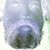 Robert Sutton's profile image