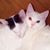 Mary K Thompson's profile image
