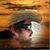 James Hansen's profile image